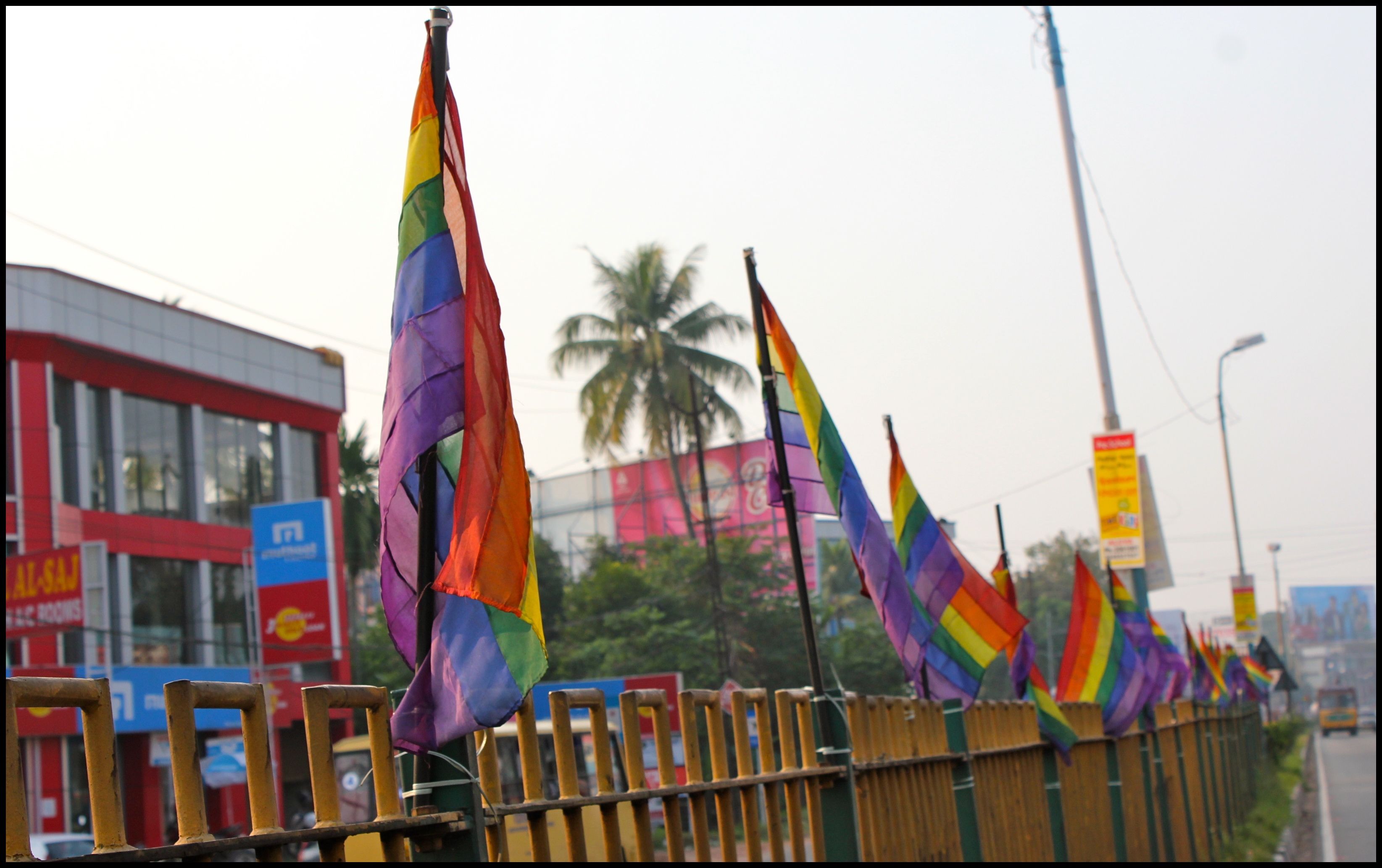 LGBTQIA + pride flags in Kerala, India 