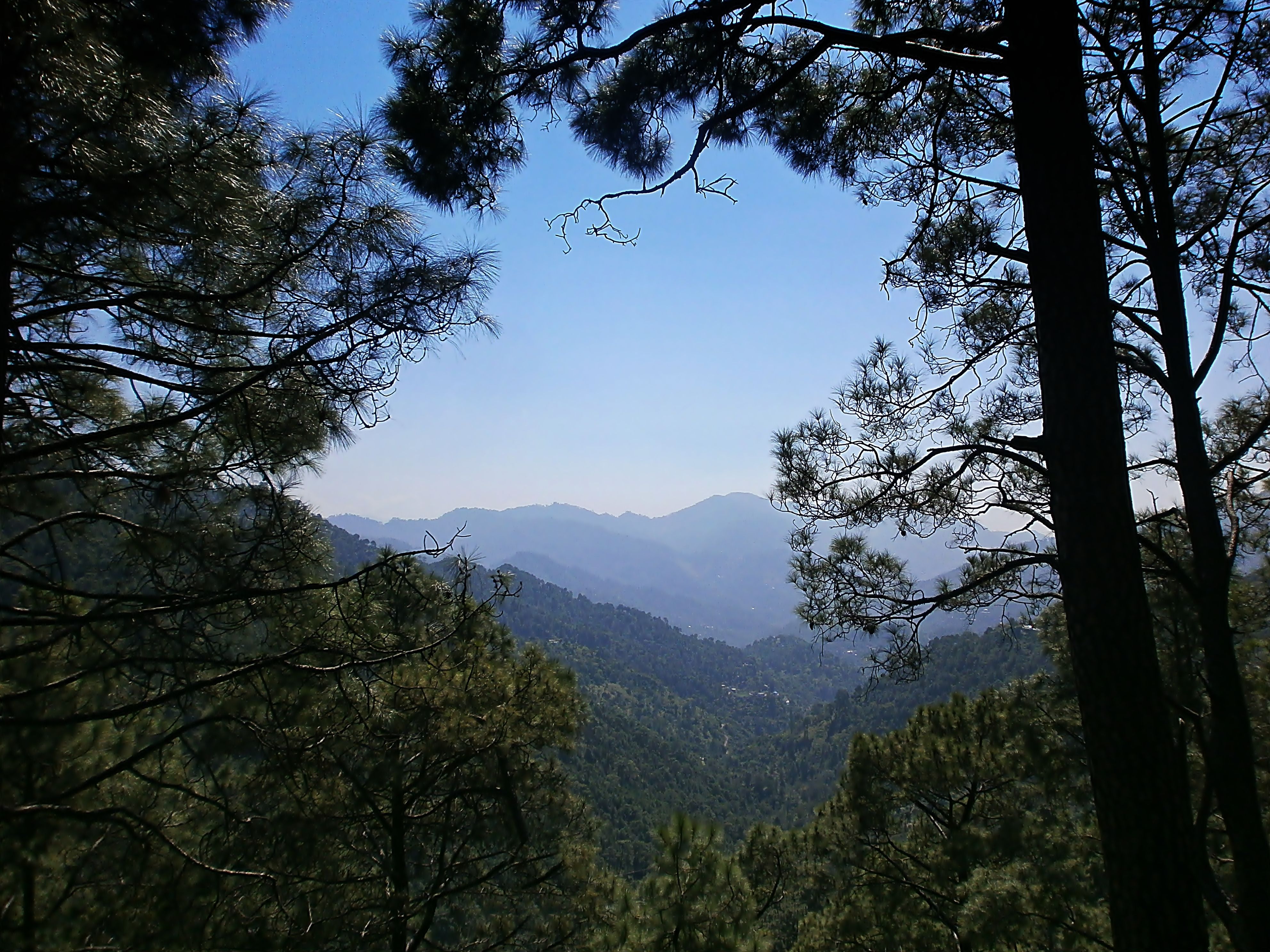Shivalik Range in Northern India where the Van Gujjars live