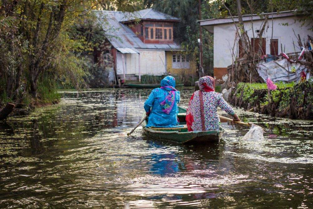 Women in the boat on the water of Dal lake, Srinagar, Jammu and Kashmir, India