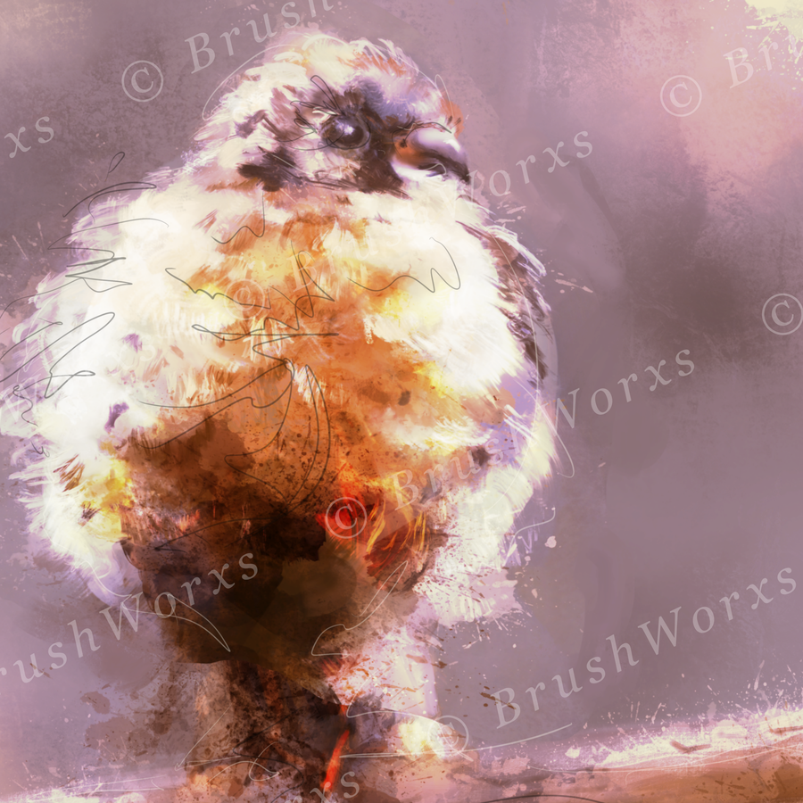 Baby Bird