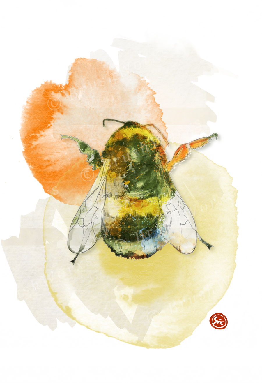 Bee