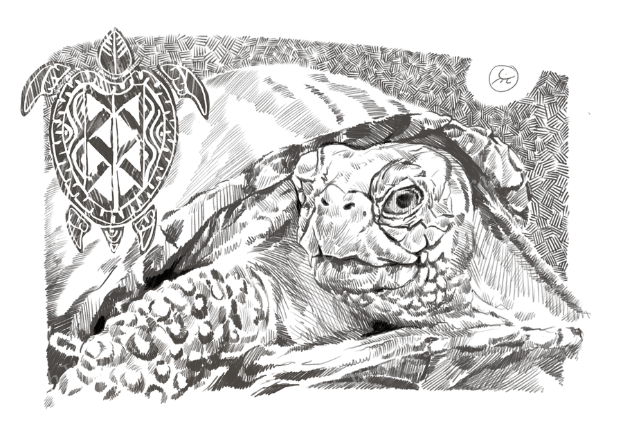 Hardshell