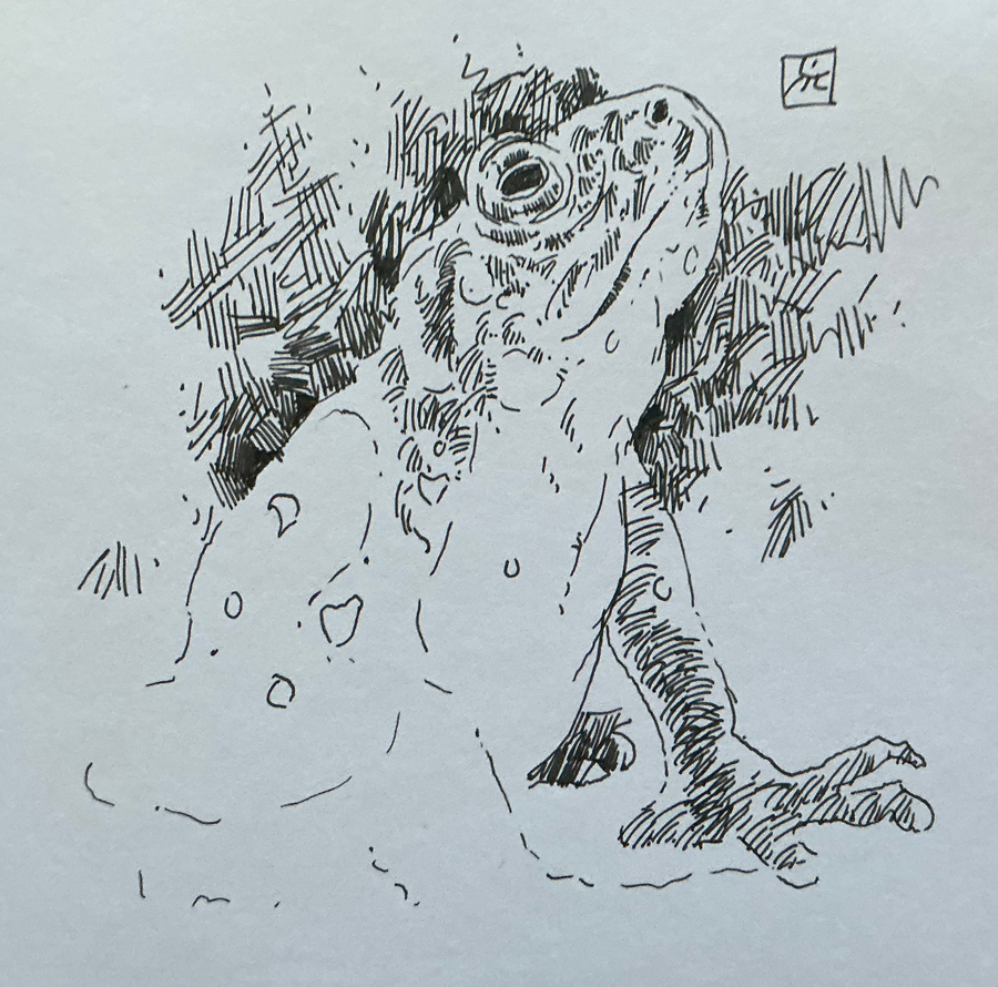 Toad