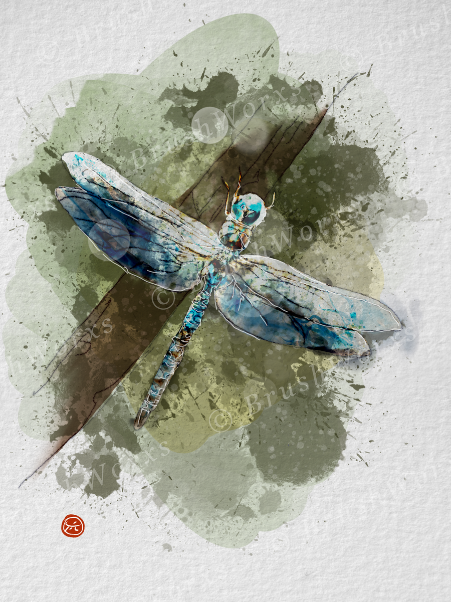 Dragonfly