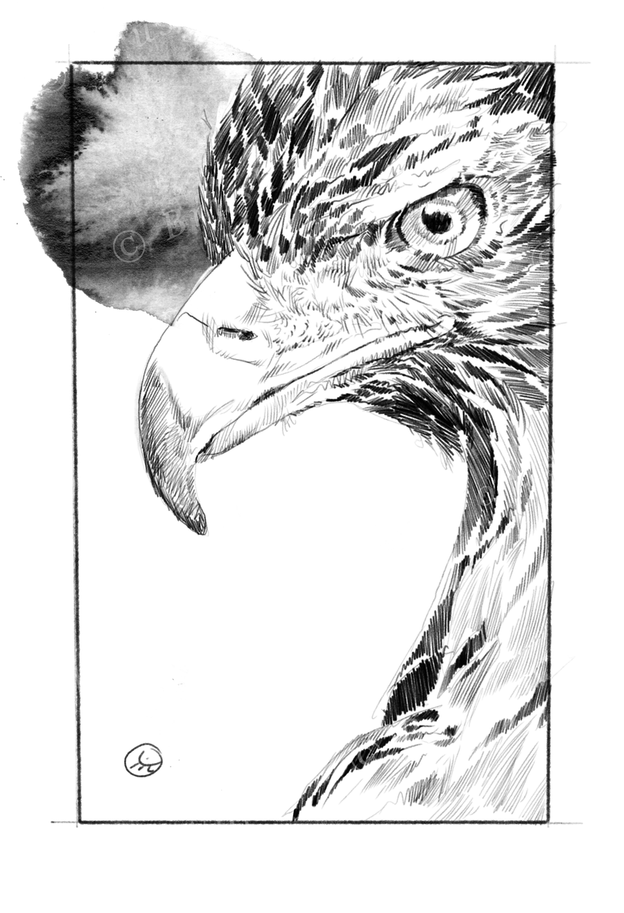Eagle