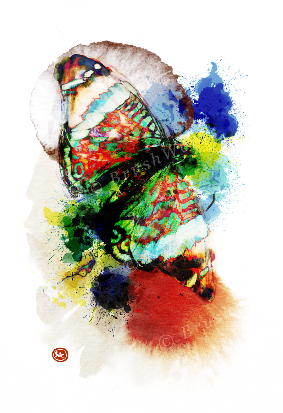 Butterfly