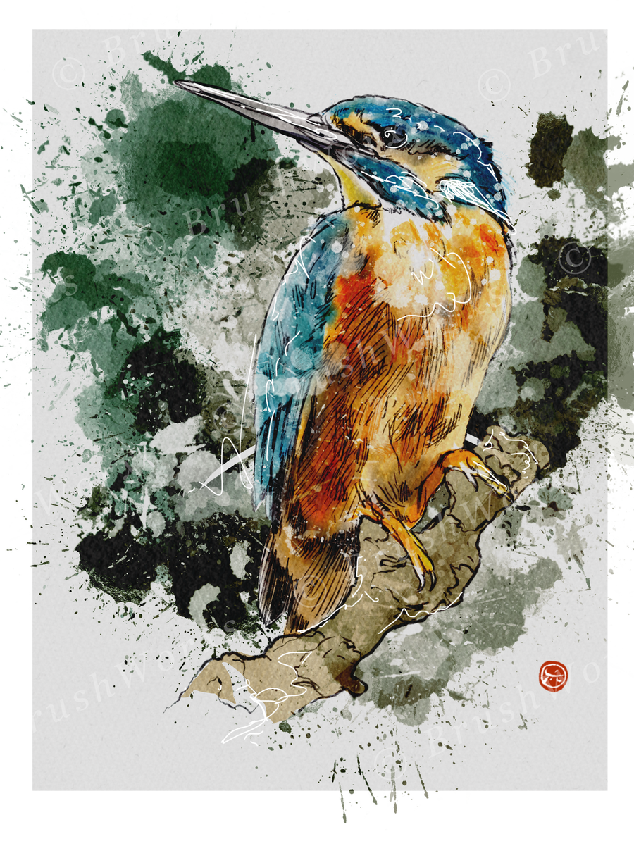 Bird