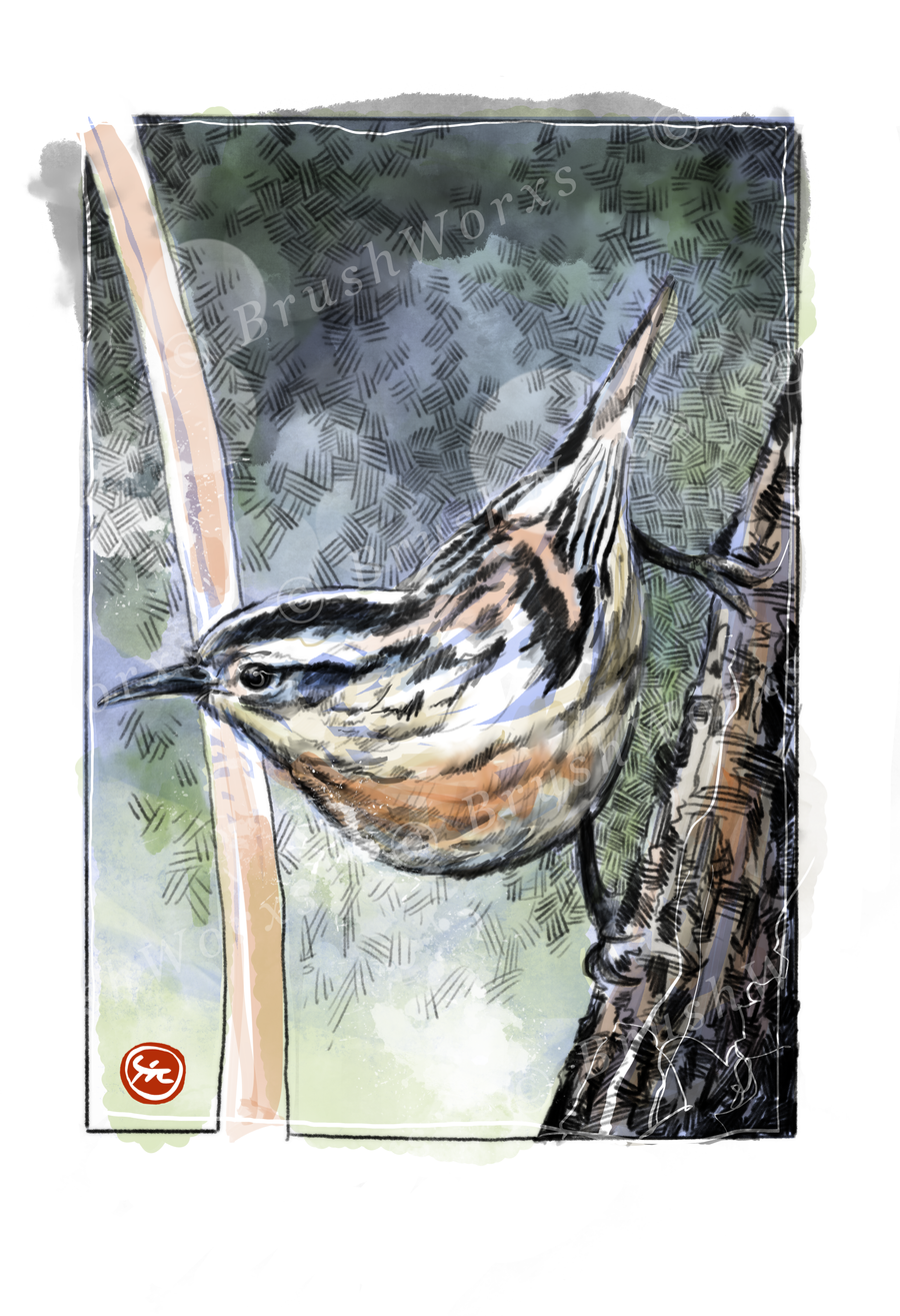 Bird