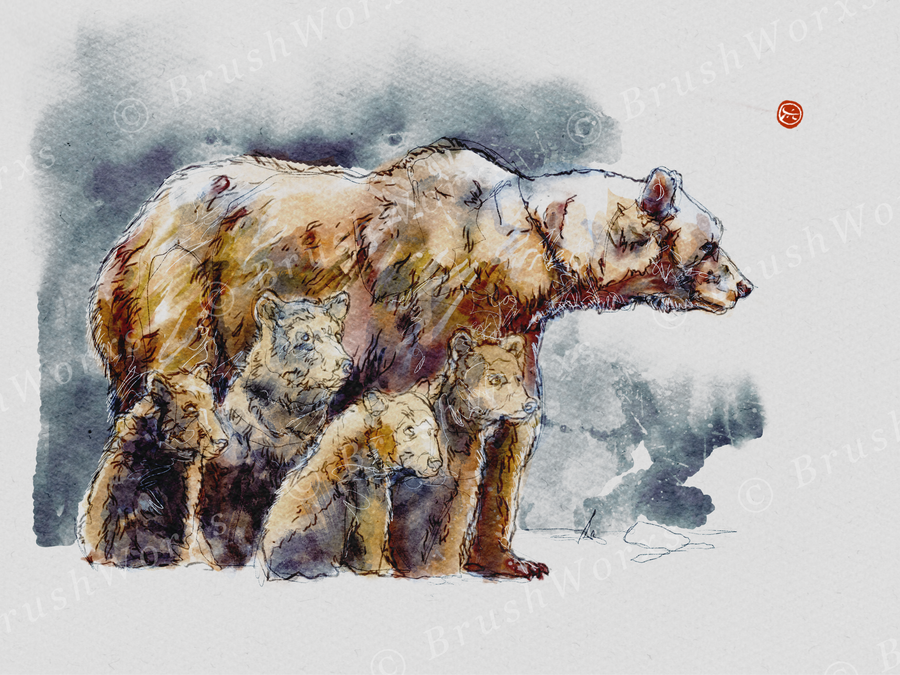 Da Bears