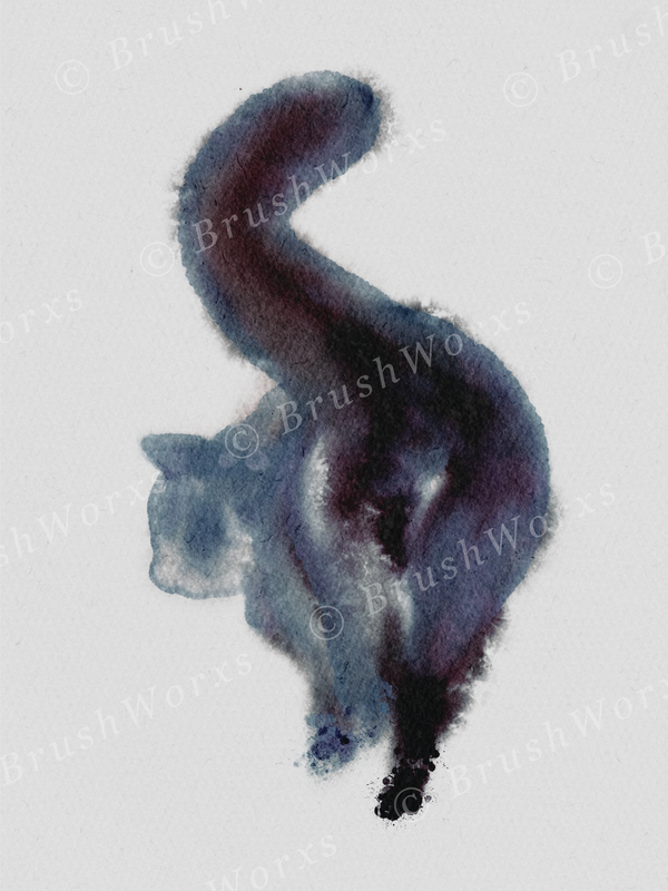 Cat Butt