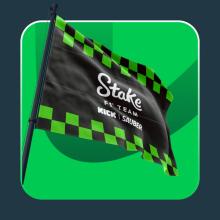 hero Stake F1 Team