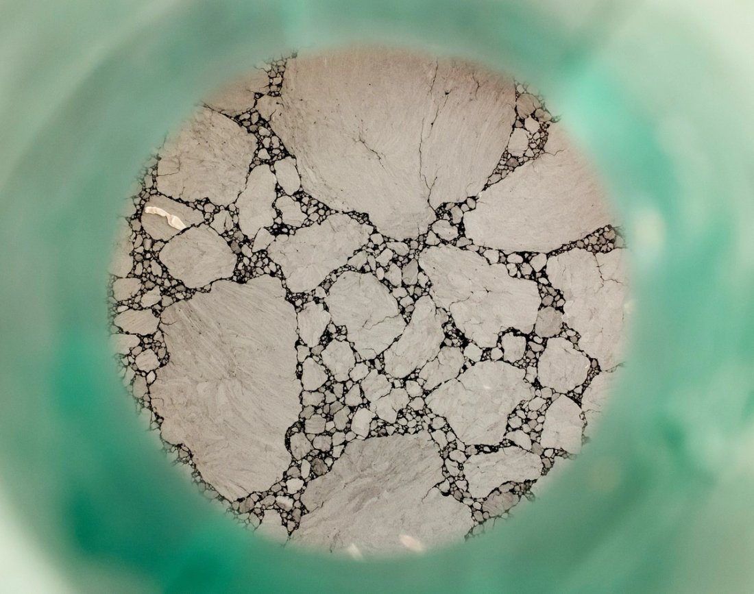 A microscopic image with a green border.