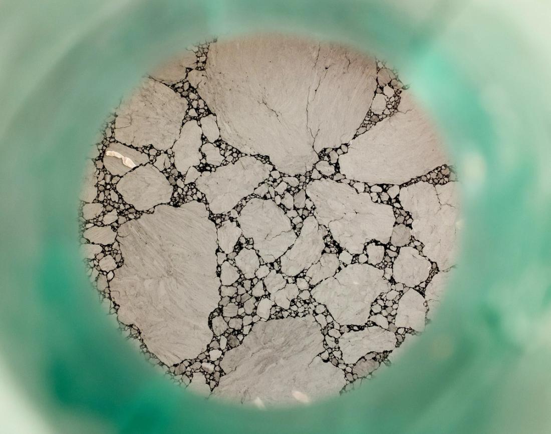 A microscopic image with a green border.