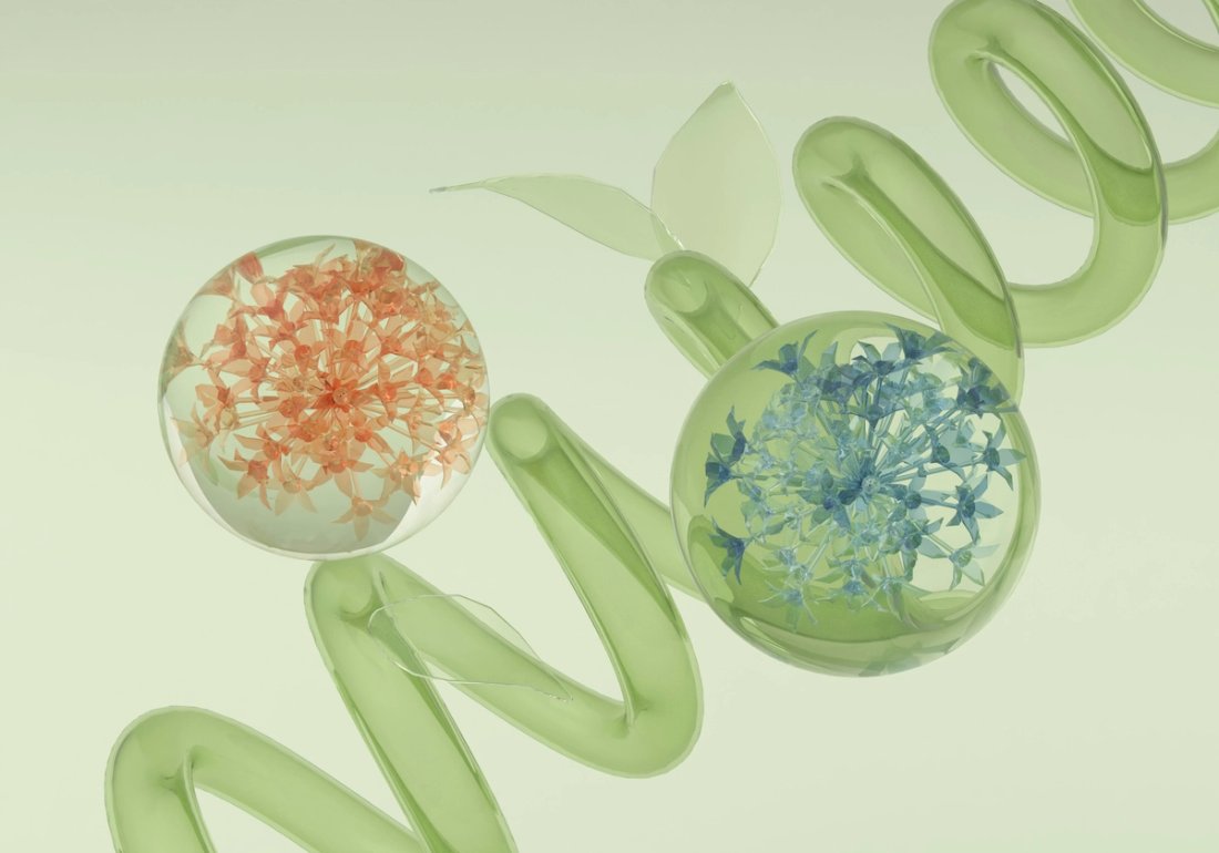 Two orbs circling around a green translucent coil.