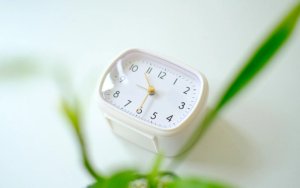 A green out of focus plant frames a white analog clock that reads 10:30.
