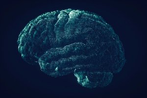 A digital rendering of a brain shown from the side in teal on a black background.