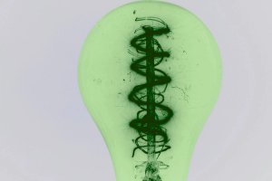 A green lightbulb.