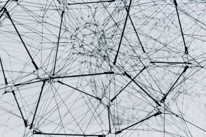 A network of black and white lines.