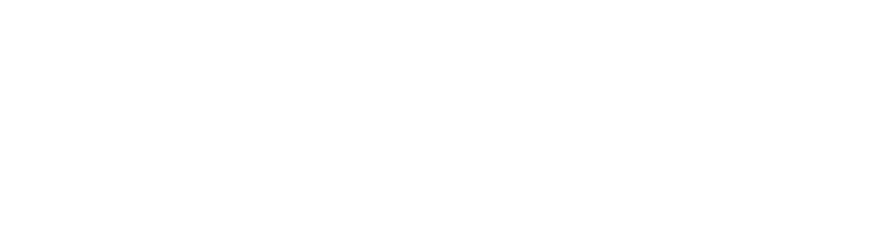 Højskolerne