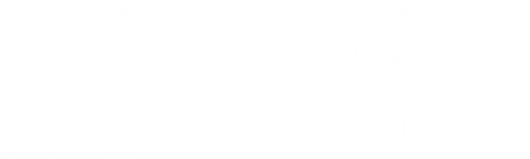 Iværksætter Danmark