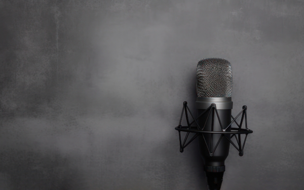 IDA Sound S2, Ep 3: More Diversity in STEM Education?