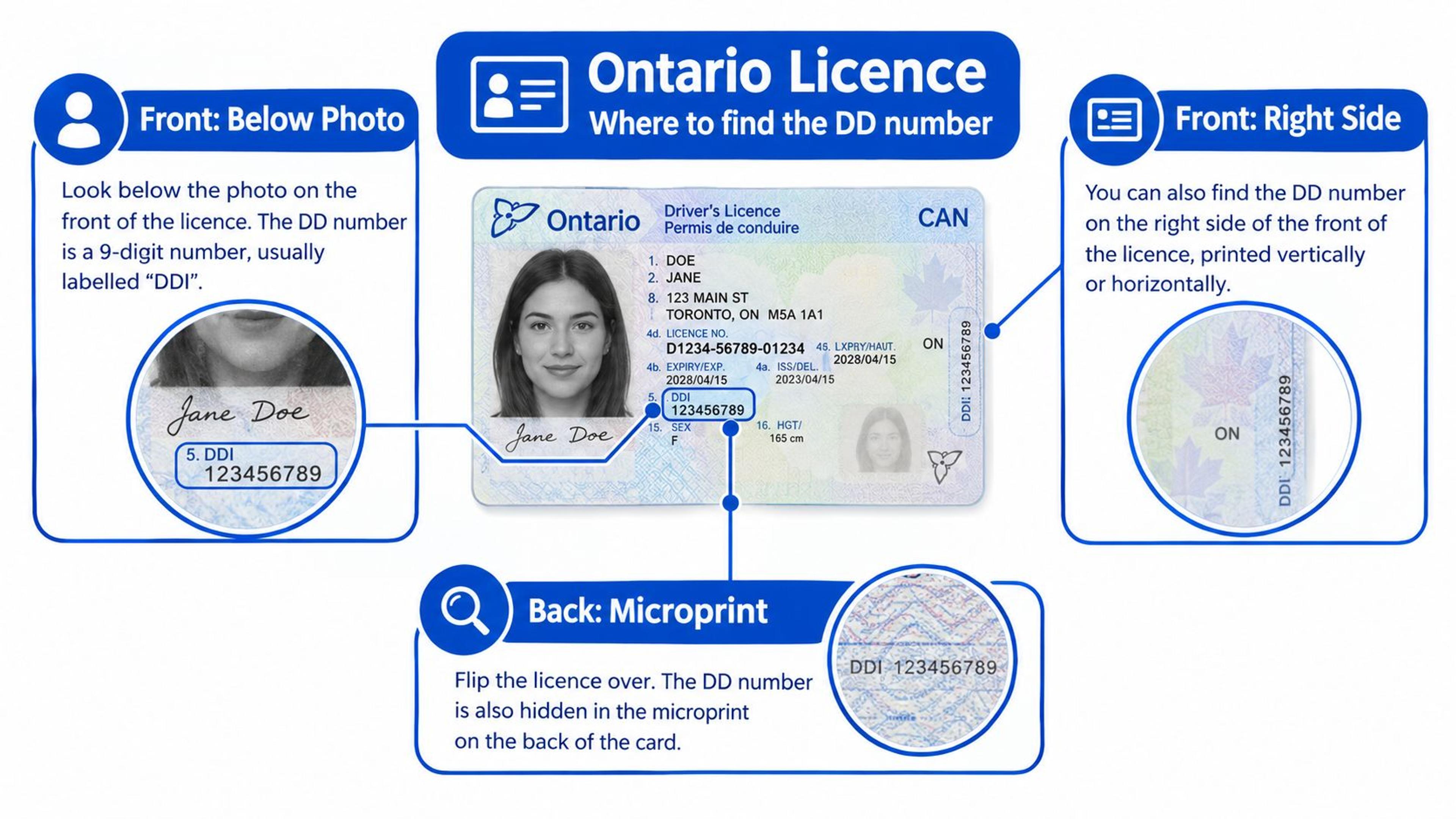 An infographic showing where to locate the DDI number on an Ontario driver's license card.