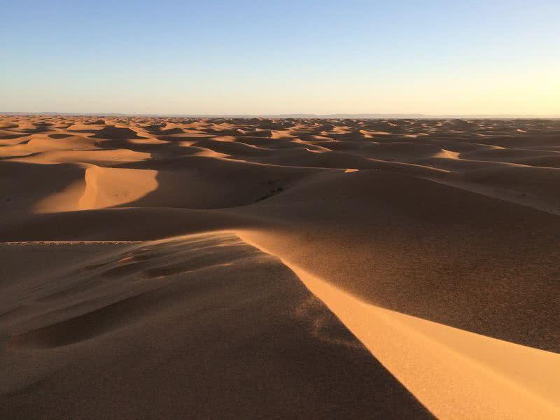 Arabian desert
