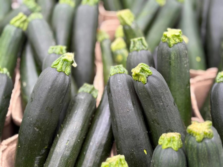 Green zucchini with ridged stems displayed in market baskets