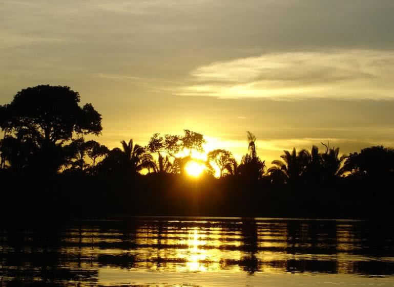 Amazon Rainforest