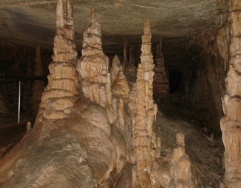 Mammoth Cave National Park