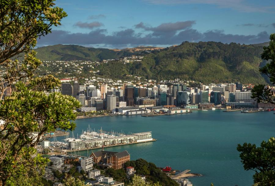 Wellington harbor and city buildings beneath green hills