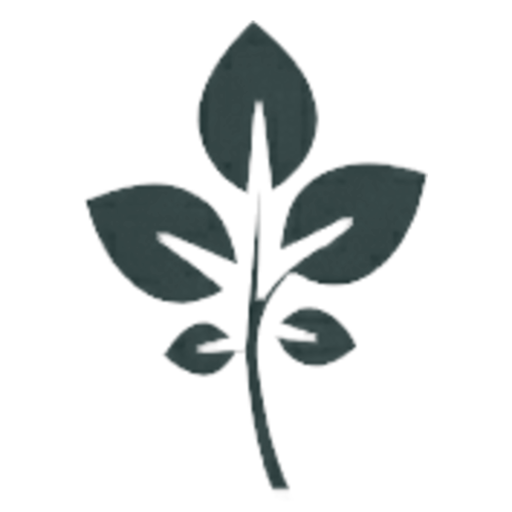 image of GrapeVine Social