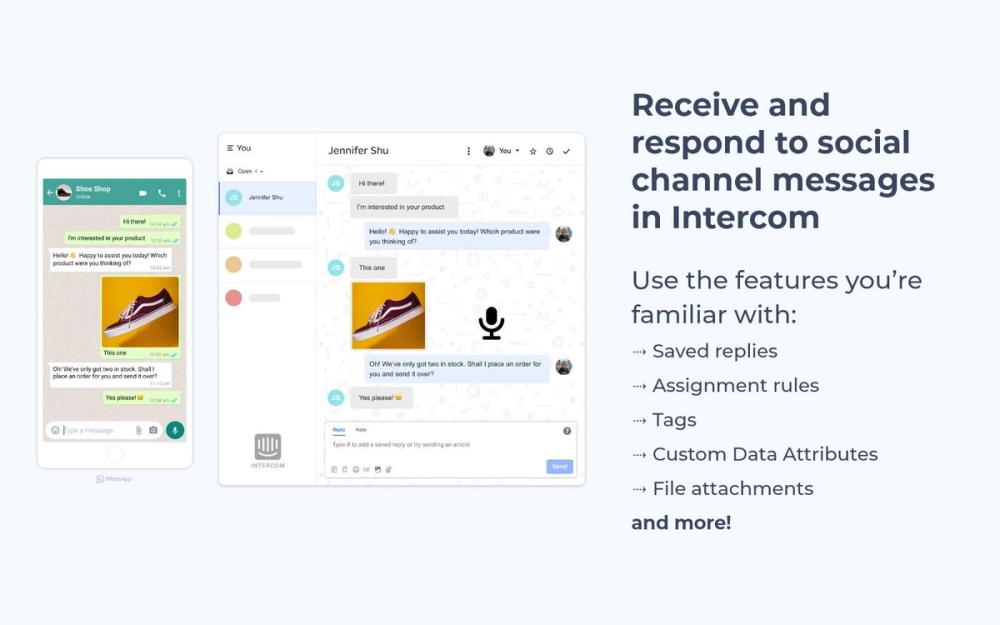 image of Octopods image of Octopods