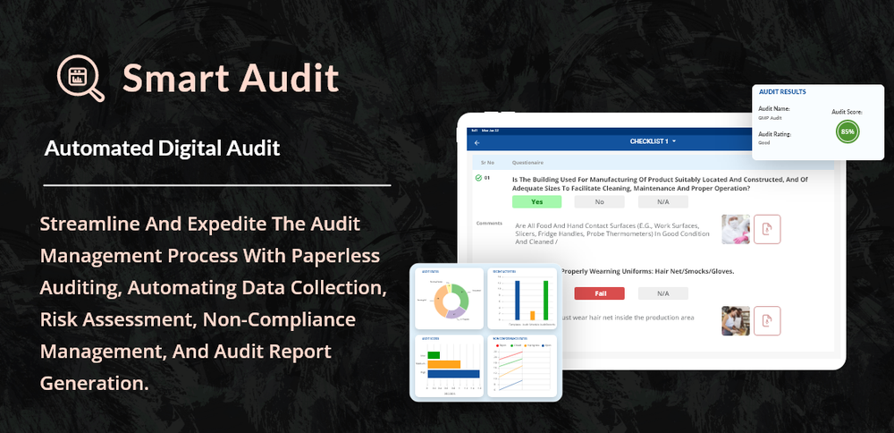 image of Smart Audit