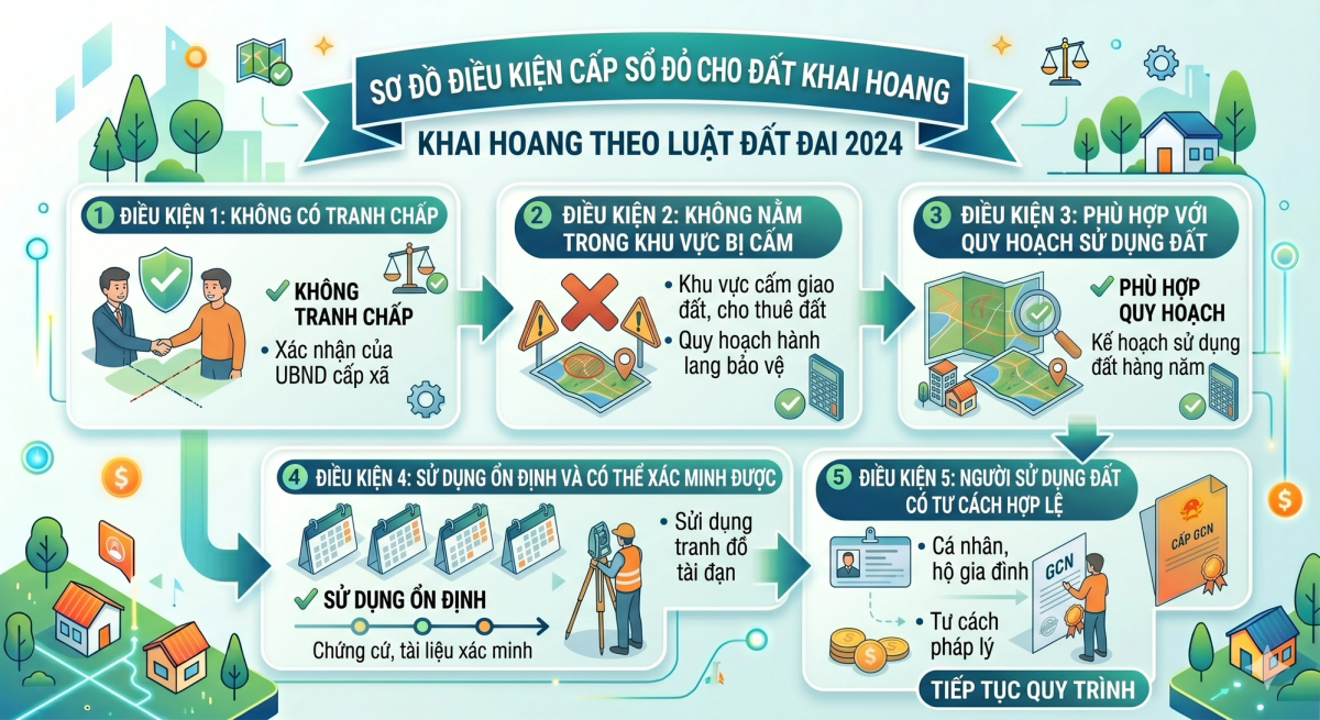 Điều kiện cấp sổ đỏ cho đất khai hoang - sơ đồ các yêu cầu pháp lý theo Luật Đất đai 2024