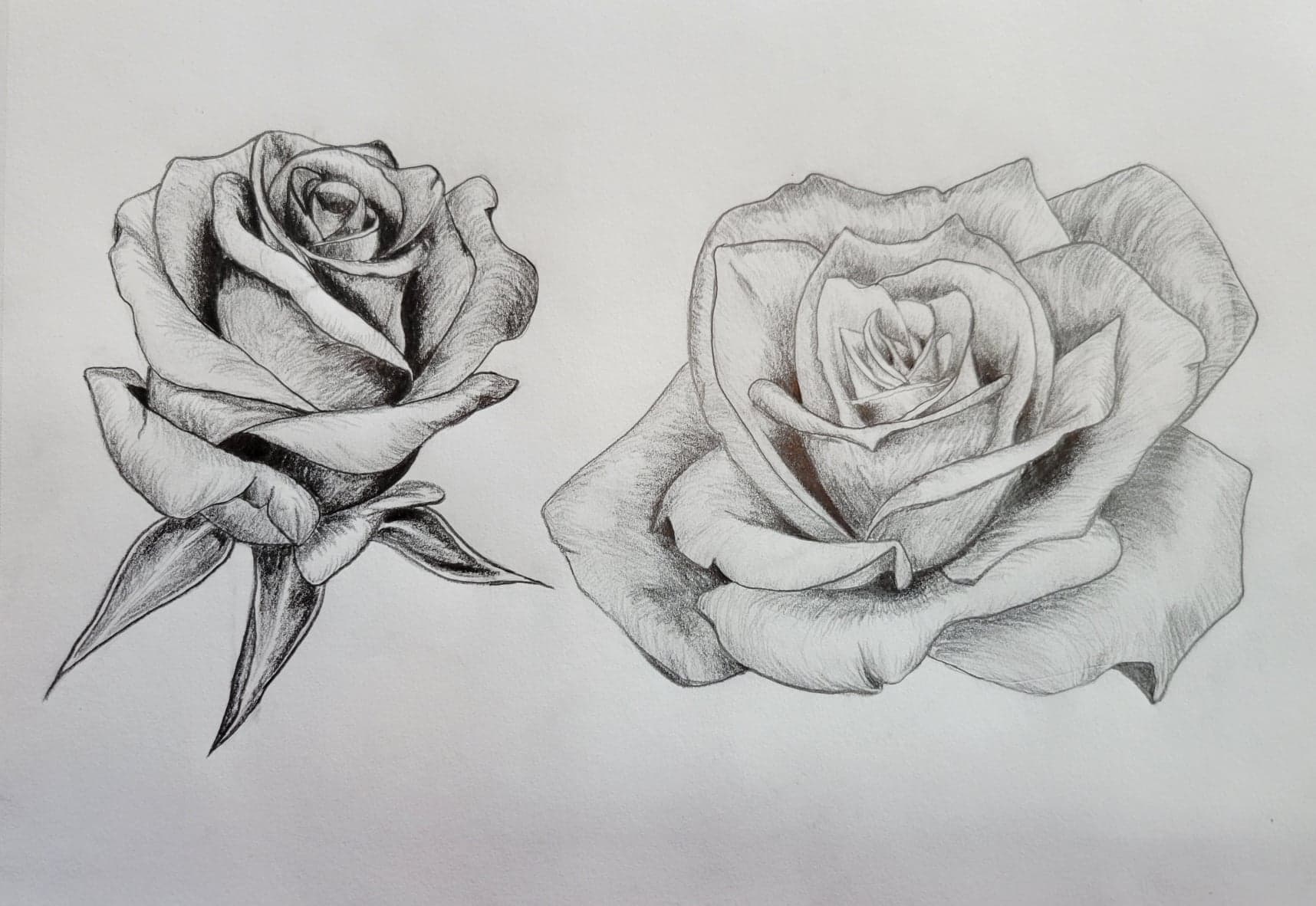 Kelsey's drawing of a rose