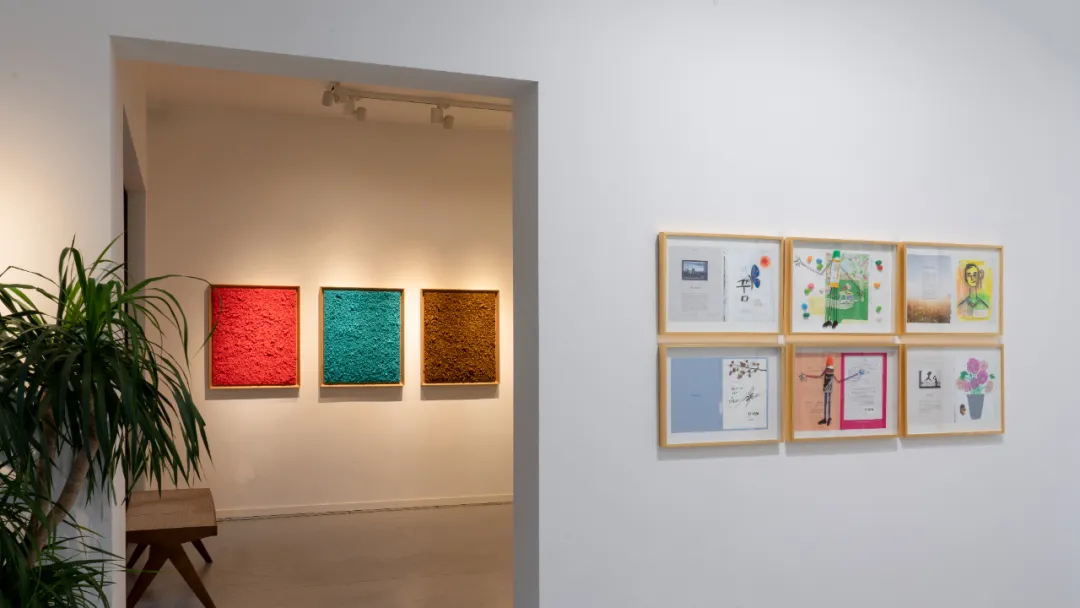 Installation view of Kim Chang-il’s WHY NOT? at Mao Space, Shanghai, 2025