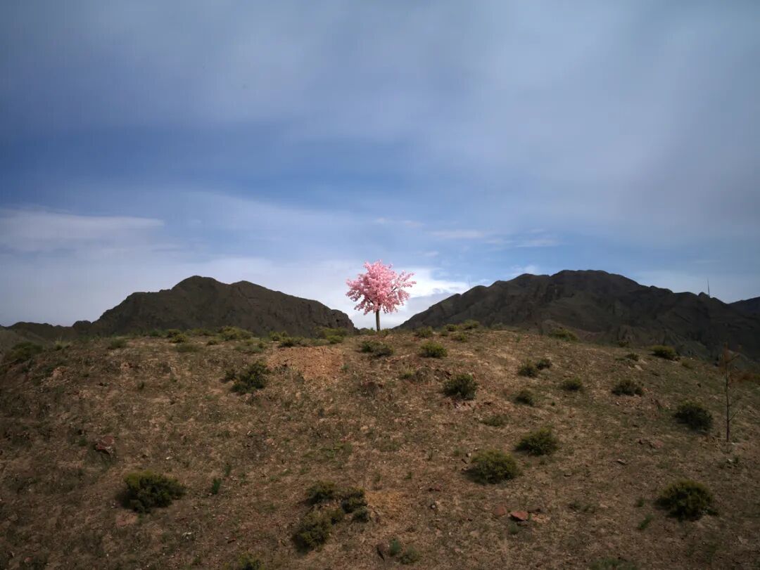 艺术家严明：行走15年，持续记录被遗忘的现实风景 图片 35