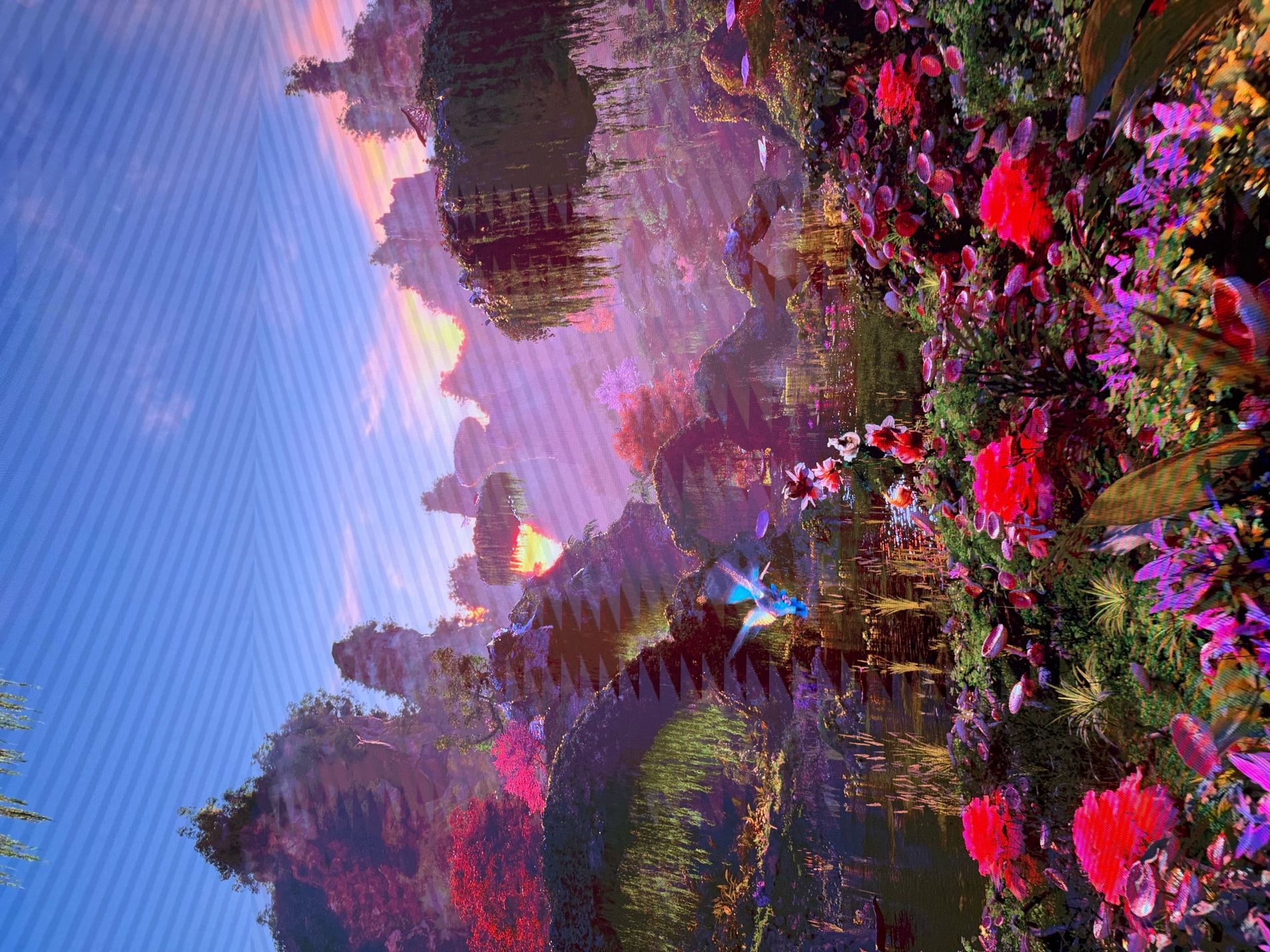 Colorful rainforest imagery inside Dataland’s Infinity Room
