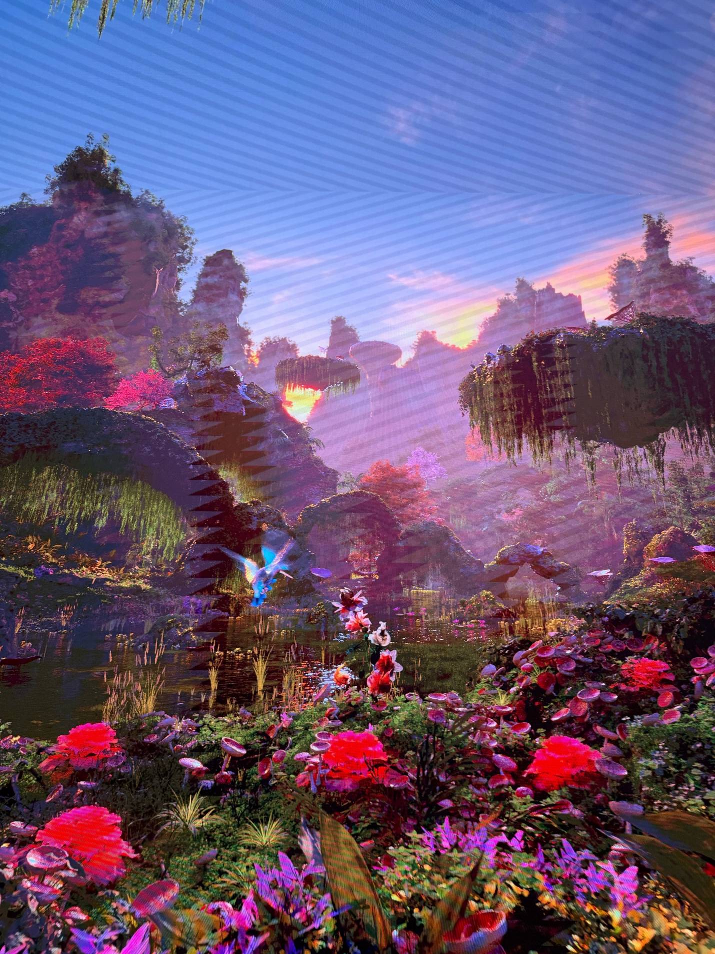 Colorful rainforest imagery inside Dataland’s Infinity Room