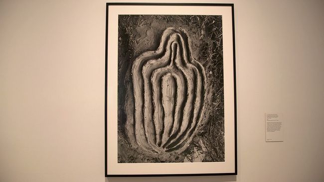 A framed photograph shows layered forms carved into a cave wall