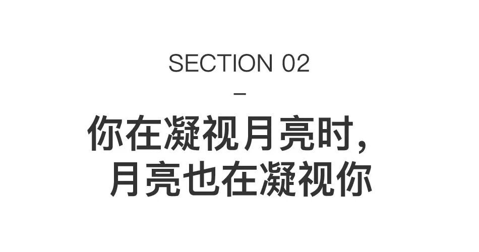在杭州，一场让人惊叹的沉浸式大展：重新发现日常之美 图片 16