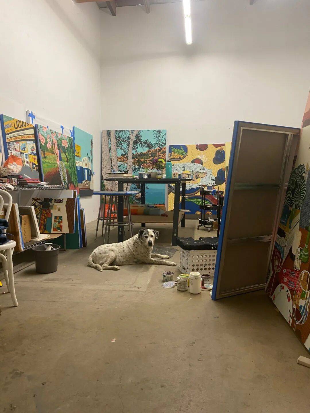 她是国际最炙手可热的艺术家之一,亚洲美术馆首展青岛开幕 图片 39