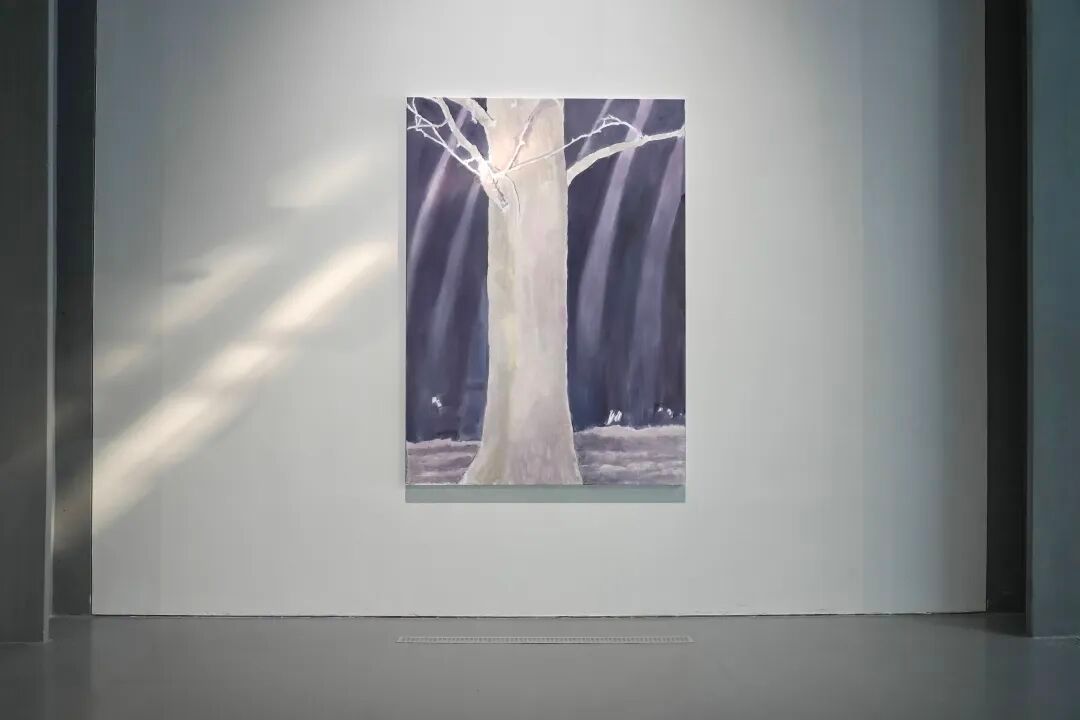 开馆2年，展览场场精彩，这家私人美术馆怎么做到的？ 图片 15