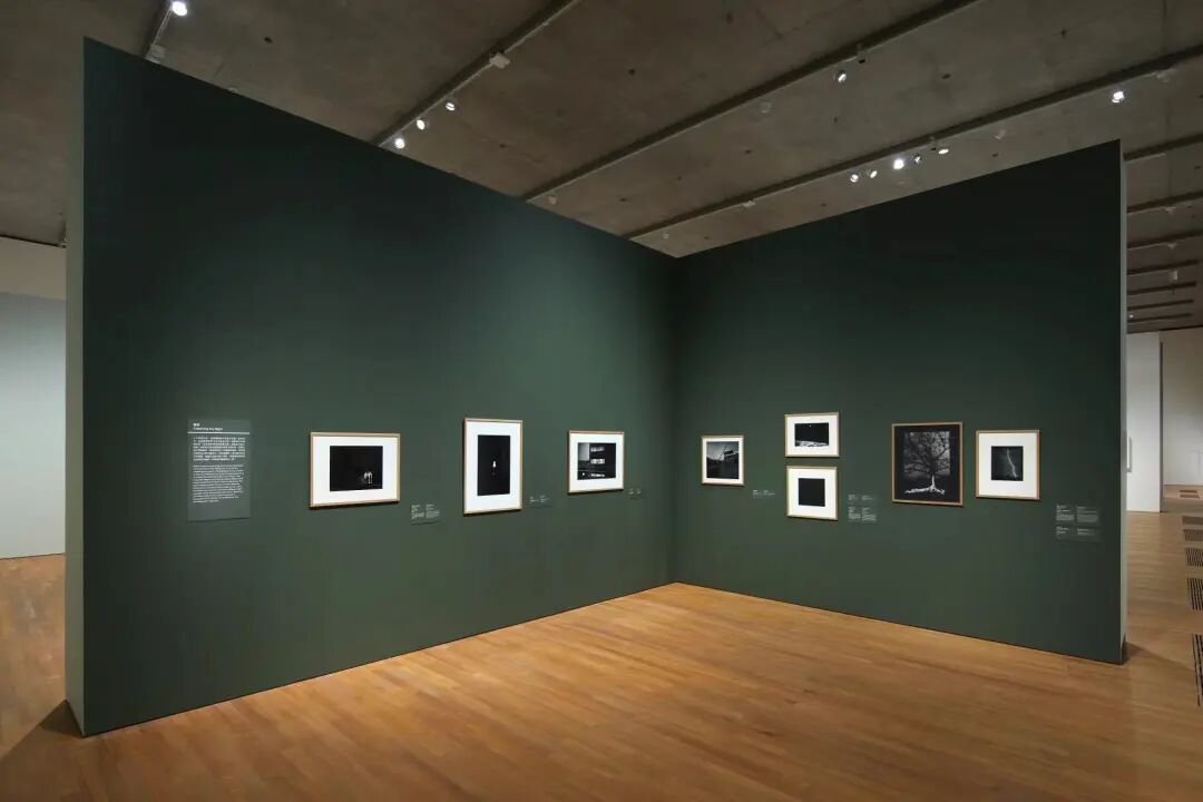 艺术周最令人惊喜的展览：超170位顶级大师，以光作画 图片 46