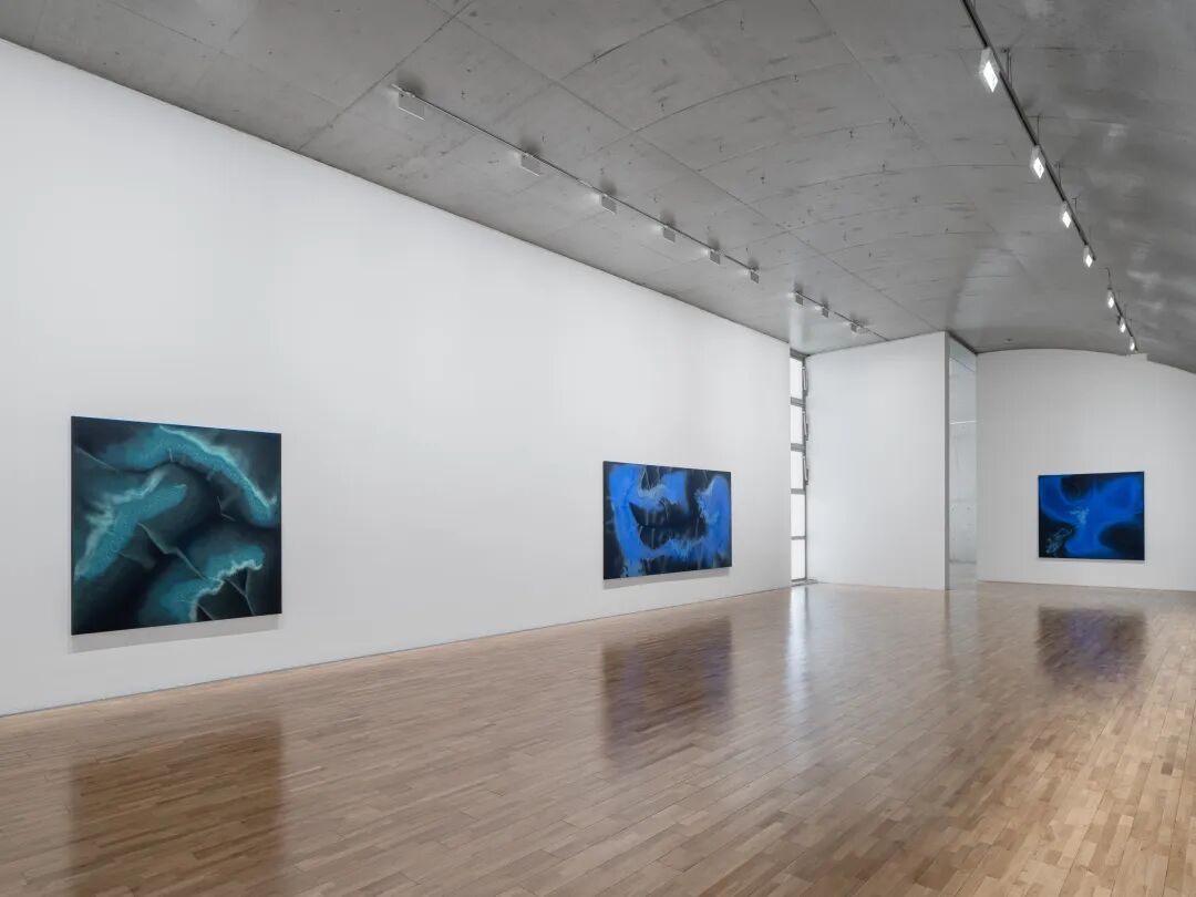透纳奖提名的伊朗裔女艺术家，中国首次美术馆大展落地上海 图片 26