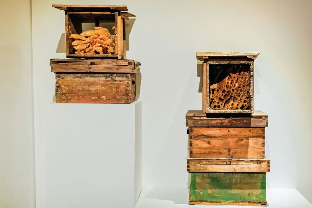 史金淞：一年5场个展，硬核与传统混搭 图片 15