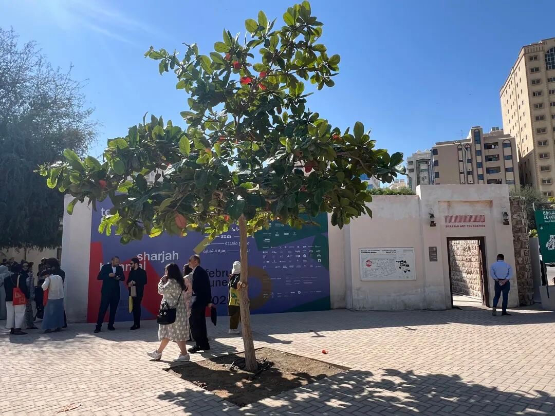 在全球最富的男权之地，6位女性主导了一场世界级艺术盛会 图片 37