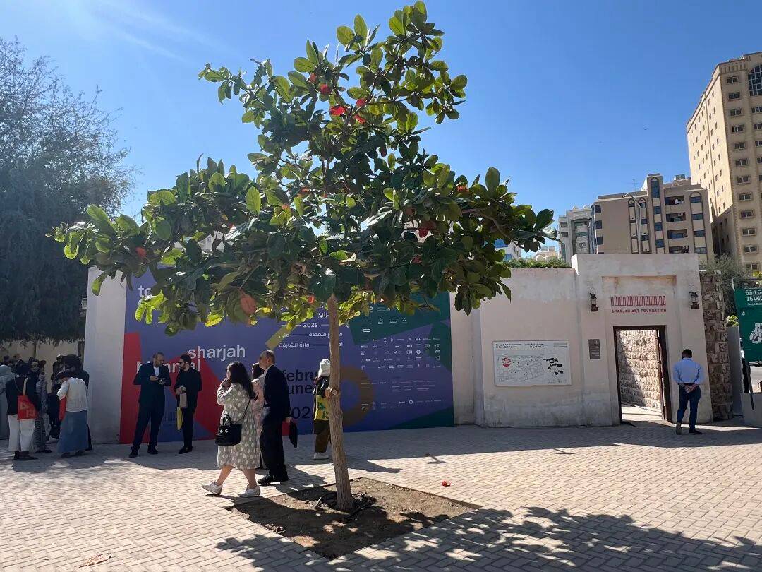 在全球最富的男权之地,6位女性主导了一场世界级艺术盛会 图片 37
