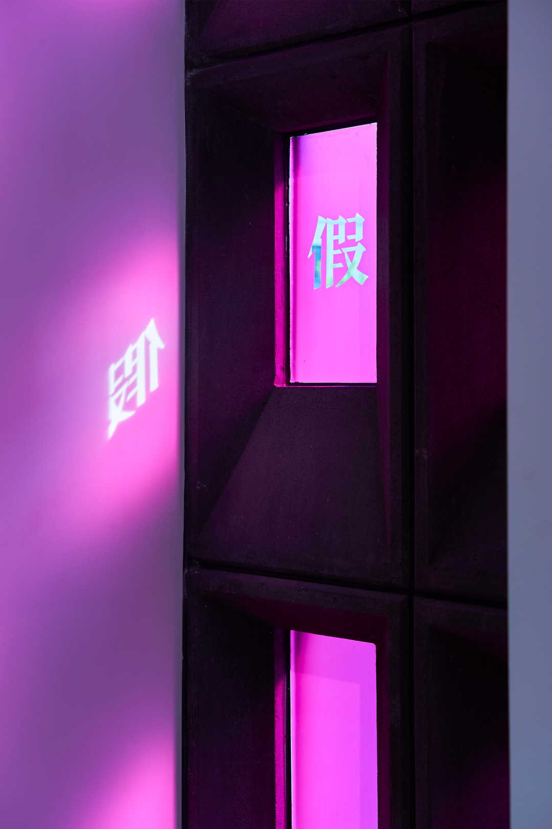 艺术家陶辉:用温柔的方式,与时代好好相处 图片 8
